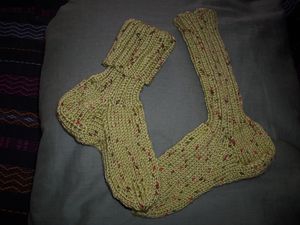 DSCI0026-copie-1.JPG