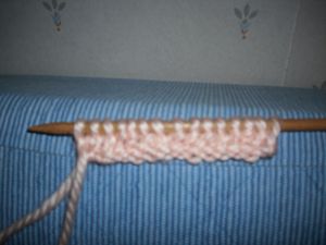 DSCI0045