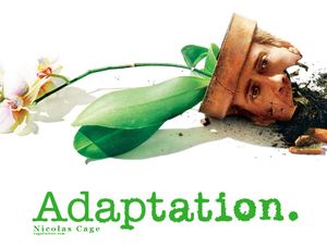adaptation1