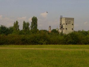 es la catastrophe, site du Bosco delle Querce, colline sou