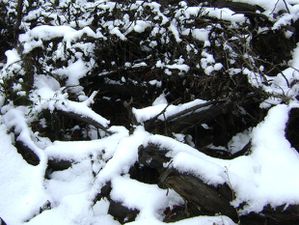 montner sous la neige 110