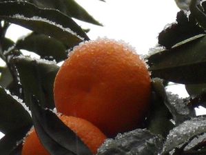 montner sous la neige 56