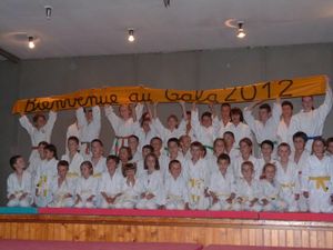 20120709---gala-du-judo.jpg