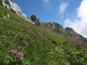 Mont Trélod (voie normale) en famille 10