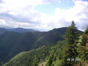 2010-09-09 Forêt de Turini (44)