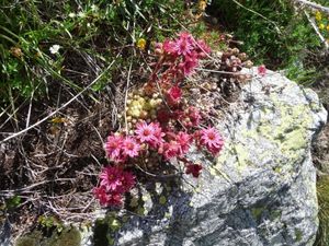 2012-06-27-Lacs de Prasles-060