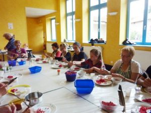 Groseilles FJEPS 6