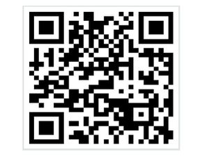 Code-QR_BLIC-BLOG.JPG