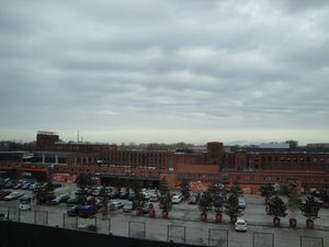 DSC02546