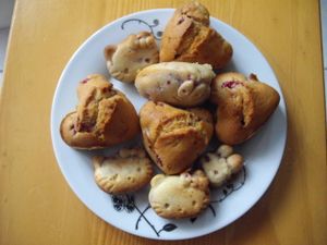 001-copie-20.JPG