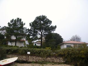 2010_1105villas-saint-trojan20004.JPG