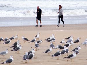 Plage22sept-026.JPG