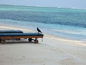Maldives--Nini--091.JPG