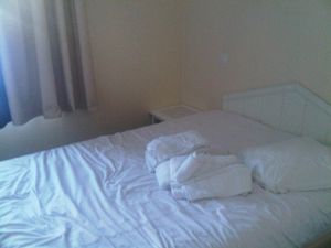 IMG02363-20110129-1612.jpg
