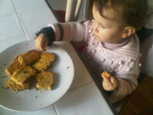 IMG02396-20110209-1614.jpg