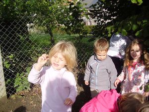 jardin 003