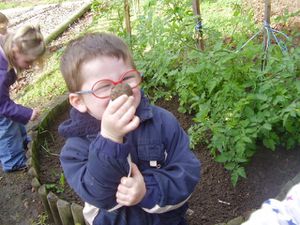 jardin 009