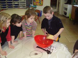 galette (50)