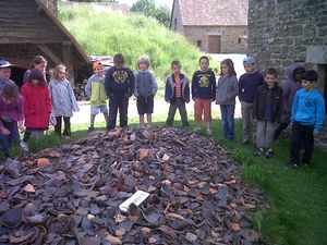 IMG00319-20130614-1029