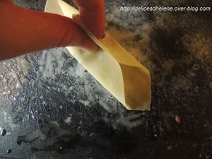 ravioles de saumon, crème de citron-parmesan (4)