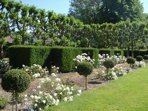 Chateau de Groussay 10