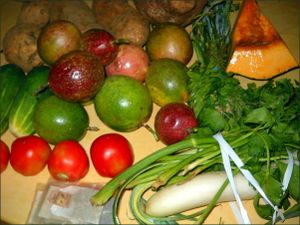 vegecarib330.jpg