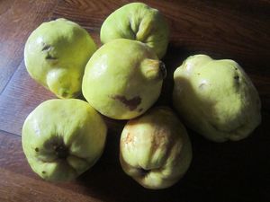 confiture de poires 2012 oct 004