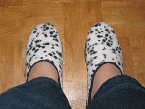 2010-octobre-1083.JPG