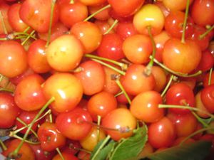 cerises--2-.JPG