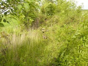 ancien chemin de fera - reduc1