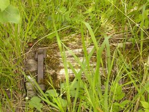 vestiges de rails - reduc1