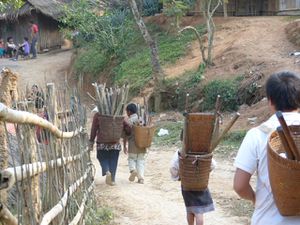 -34--transport-du-bois-Hmong.JPG