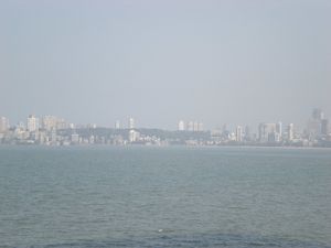 Bombay-029.jpg
