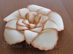 fleur-en-bouton.jpg
