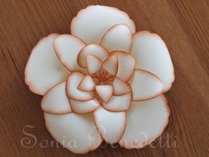 fleur.jpg