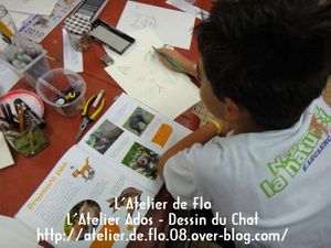 Oeil-de-chat-Atelier de Flo-Dessin-Peinture-Chat2