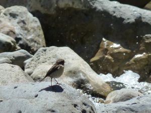 Cascade Bras Rouge (10)