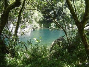 7_27_10_H172352_L.jpg