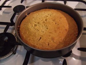 le gâteau qui voyage 2 (2)