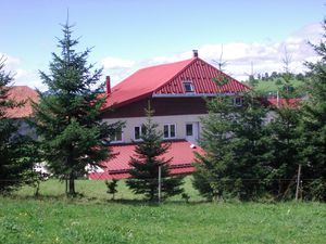 IMGP3024