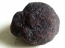 Fichier-Truffe_noire_du_P-C3-A9rigord.jpeg