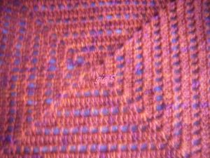 RIMG0991-copie-1.JPG
