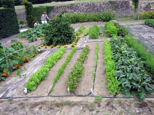 6-Fontmorigny-2011-06-19--12-.JPG