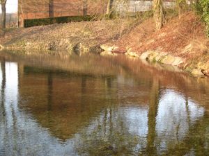 source de la Somme 27-01-11 (4)