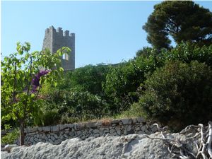 2-copie-55.jpg