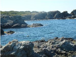 5-copie-4.jpg
