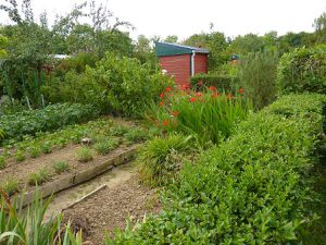 Jardins-familiaux-0004.jpg