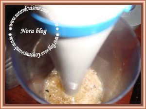 Riz-sauce-poisson4.jpg