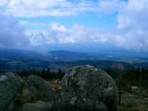 LA TRACE