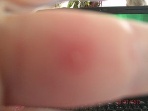 002--10-.JPG